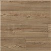 COREtec Pro Plus Enhanced Planks Pembroke Pine Waterproof SPC Vinyl Flooring on sale at Cheap Prices by Hurst Hardwoods