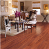 parkay-floors-gloss-water-resistant-mahogany-wr-laminate-plank-flooring-room