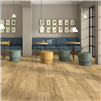 parkay-floors-origin-dune-kronoswiss-laminate-plank-flooring-room