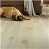 shaw-floors-floorte-exquisite-beiged-hickory-waterproof-engineered-hardwood-flooring-installed