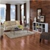 Somerset Color Collection Strip 3 1/4" Solid Red Oak Natural