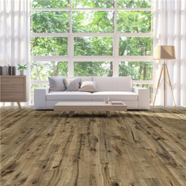 Lifecore Allegra North American Maple, Refresh Hardwood Floors