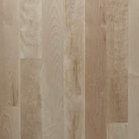 2 1/4" Birch 
