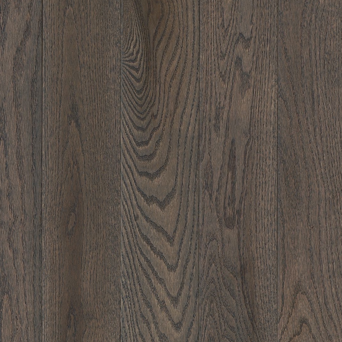 ボスウェリア　アメーロ Yahoo!オークション - ボスウェリア アメーロ Boswellia ameero