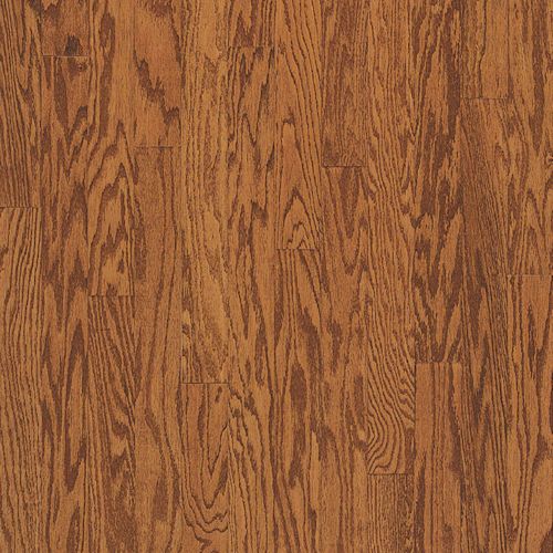 ブルドッグ　0527 ブルドッグ 0527 ブルドッグ 0527 BIG DOG MOTORCYCLES CIRCUIT