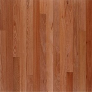5 1/4" x 1/2" Australian Sydney Blue Gum 2' to 6' Prefinished Engineered
