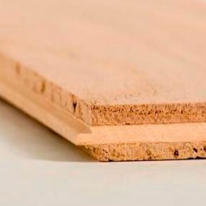 エンザイン フローラ 7