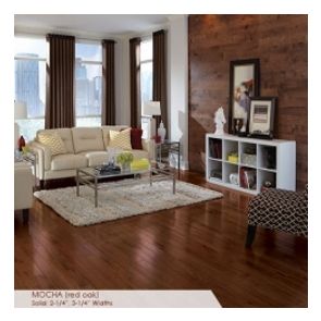 Somerset Color Collection Strip 2 1/4" Solid Mocha