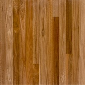 5 1/4" x 1/2" Australian Spotted Gum 2' to 6' Prefinished Engineered