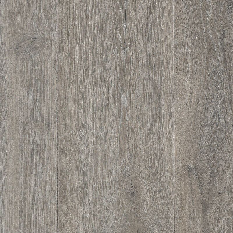 bark 62B8005 グレー bark 62B8005 グレー bark 62B8005 グレー Bike Specific Hardware